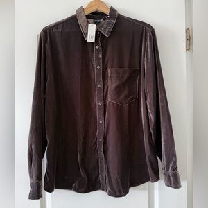 GAP Woman’s Dark Brown Velvet Button Down Shirt
